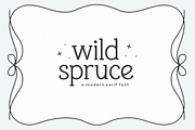 Wild Spruce | Modern Serif Font, a Serif Font by KA Designs (Thumbnail 1 of 10)