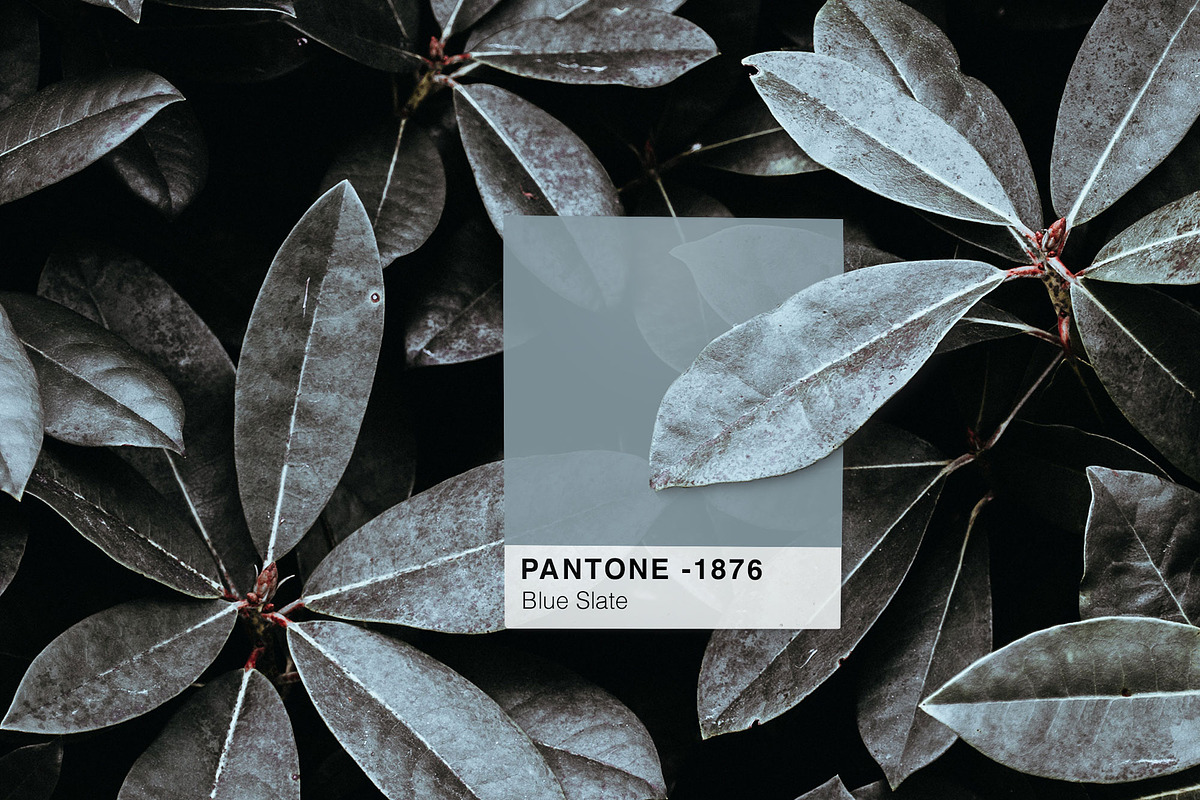 Pantone Colour Scheme Mockup, a Wearable Device Mockup by Tropical Type (Photo 5 of 6)