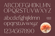 Rafbela Egitha Elegant Sans Serif, a Sans Serif Font by timelesstype.co (Thumbnail 17 of 20)
