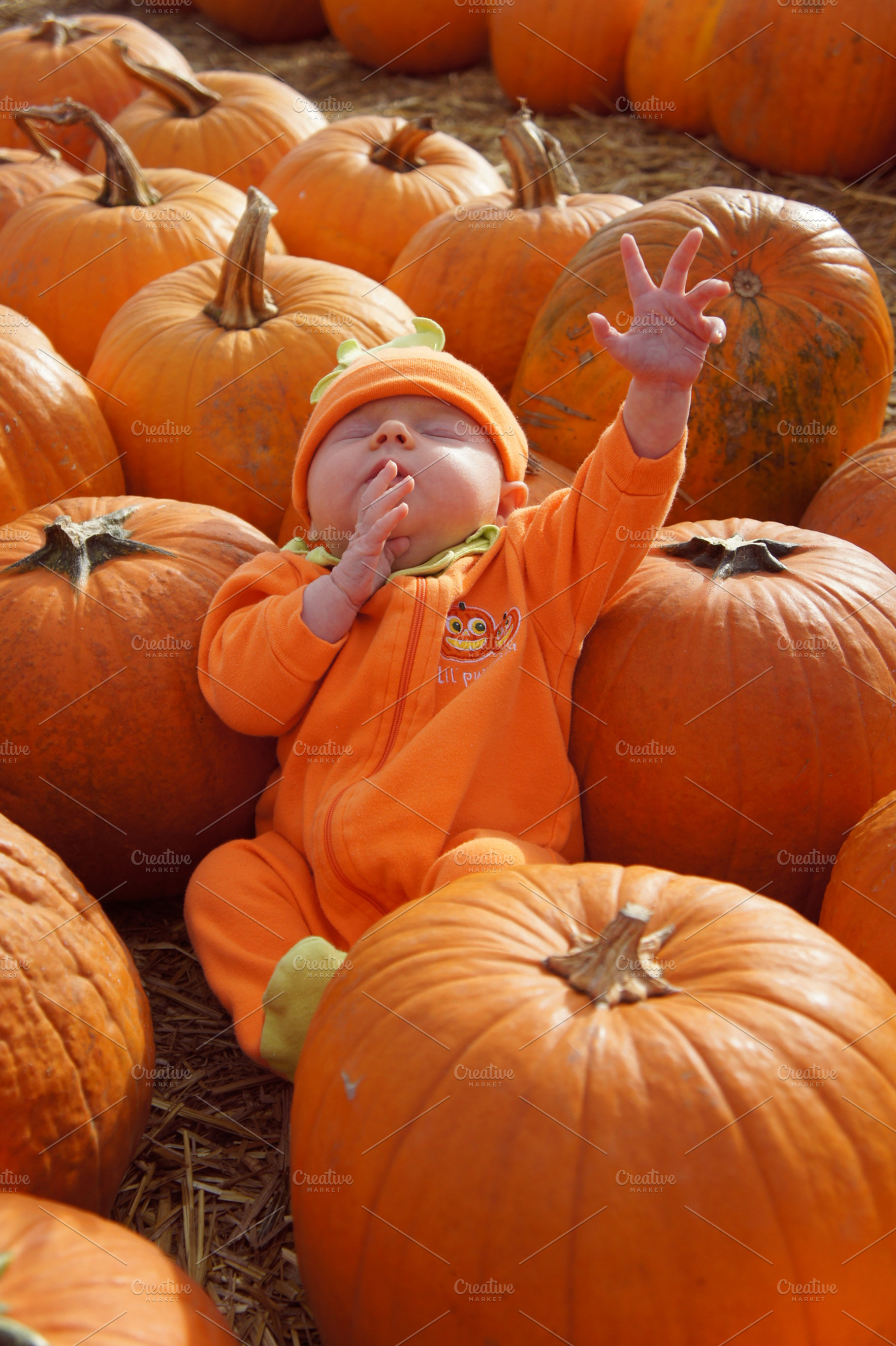 Praying Pumpkin Baby