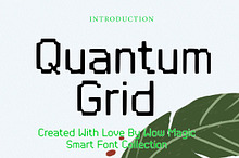 Quantum Grid