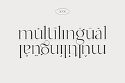 Mango - Modern Serif, a Serif Font by Sans & Sons (Thumbnail 5 of 10)