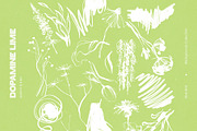 Dopamine Lime Backgrounds Collection, a Background Graphic by Colden Blue (Thumbnail 13 of 14)