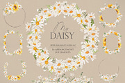 Watercolor flower - Daisy Set, an Illustration by Beigetime (Thumbnail 1 of 10)