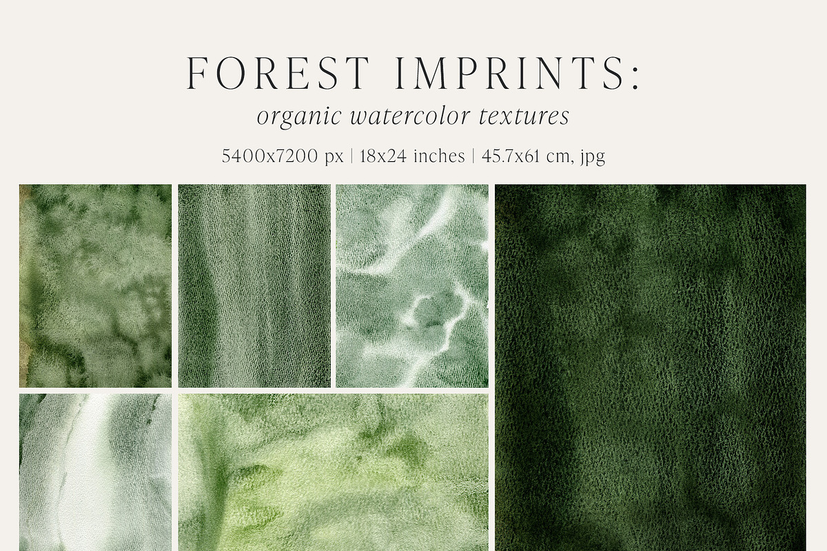 Forest Imprint Botanical backgrounds, a Background Graphic by Yuliya Derbisheva (Photo 9 of 11)
