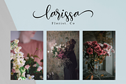Hosbela Script, a Script Font by Nissa Studio (Thumbnail 5 of 12)