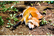 Modern quiet Lightroom preset, an Action Add-On by OceanChild (Thumbnail 6 of 13)