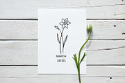 Birth Month Flowers – Floral Zodiac, an Object Graphic by Irina Ostapenko (Thumbnail 7 of 7)