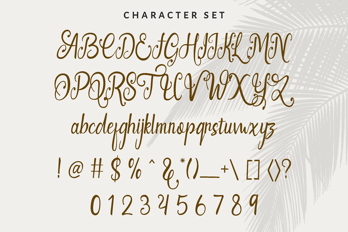 Alana Rodriguez, a Script Font by Majelis Art (Photo 9 of 9)