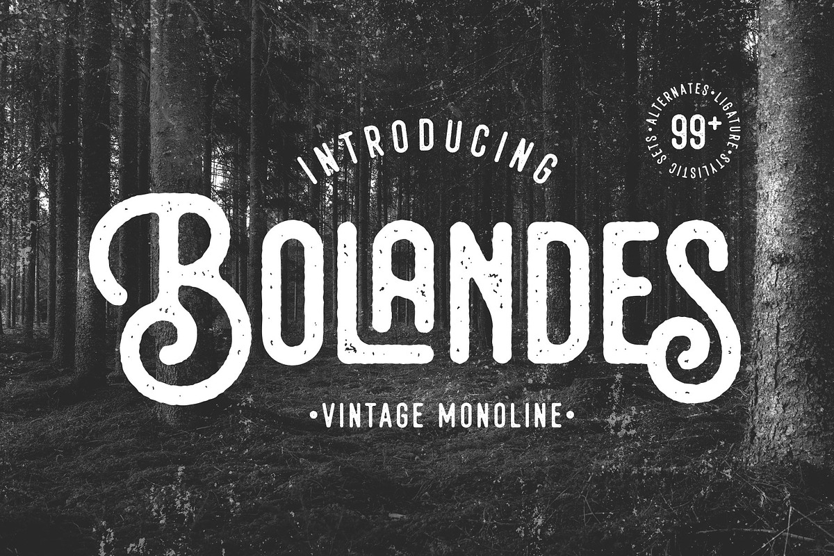 Bolandes - Vintage Monoline, a Sans Serif Font by Arterfak Project (Photo 1 of 14)