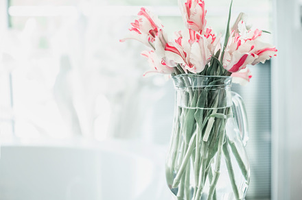 Bunch of tulips at window, an Arts & Entertainment Photo by VICUSCHKA
