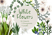 White Flowers, a Decorative Illustration by skrich (Thumbnail 1 of 8)