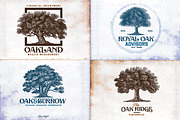 Vintage Oak Tree Illustration, an Object Graphic by RMPL.std (Thumbnail 2 of 5)