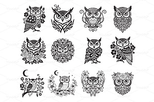 Vector set of owl designs, Birds, an Animal Illustration by yod67