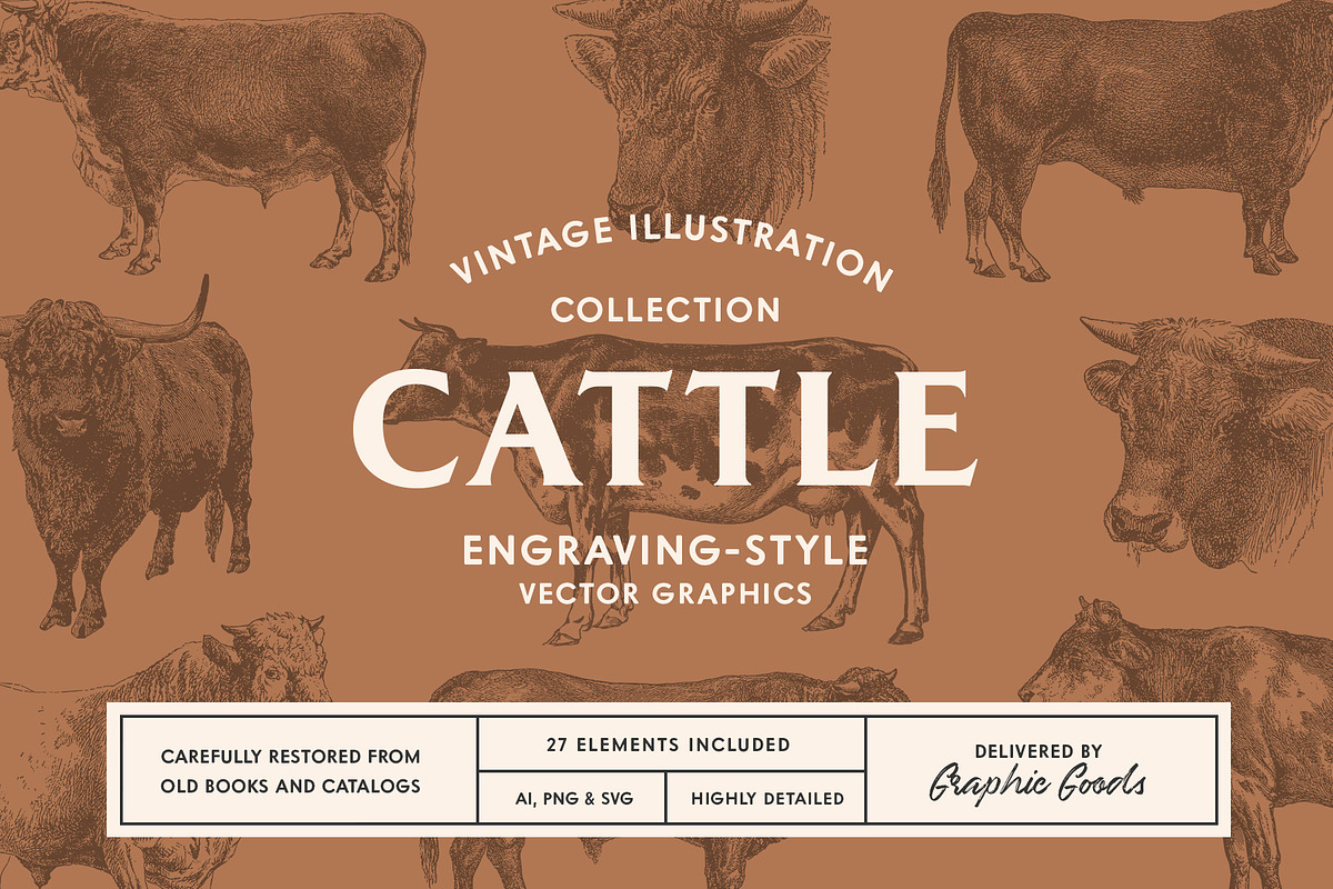 Cattle - Vintage Illustration Set, an Animal Illustration by Graphic Goods (Photo 1 of 9)
