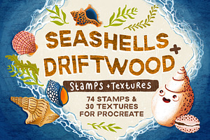 Seashells Driftwood Procreate Set