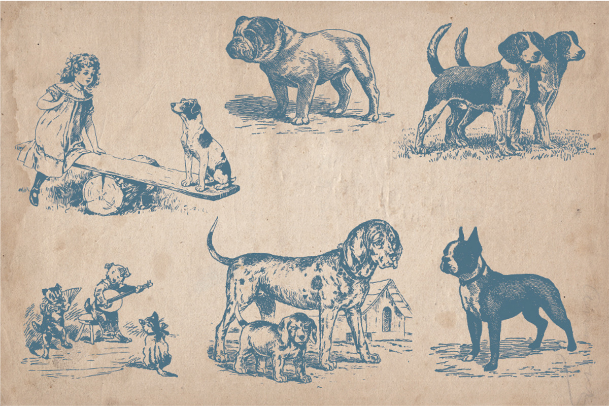 32 Hand Drawn Dogs and Puppies, an Animal Illustration by Mr Vintage (Photo 5 of 5)