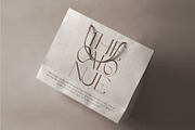 The Calonue Classic & Elegant Font, a Serif Font by AuthenType (Thumbnail 6 of 6)