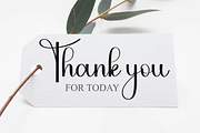 Bushing, a Handwritten Font by FreshTypeINK (Thumbnail 8 of 8)