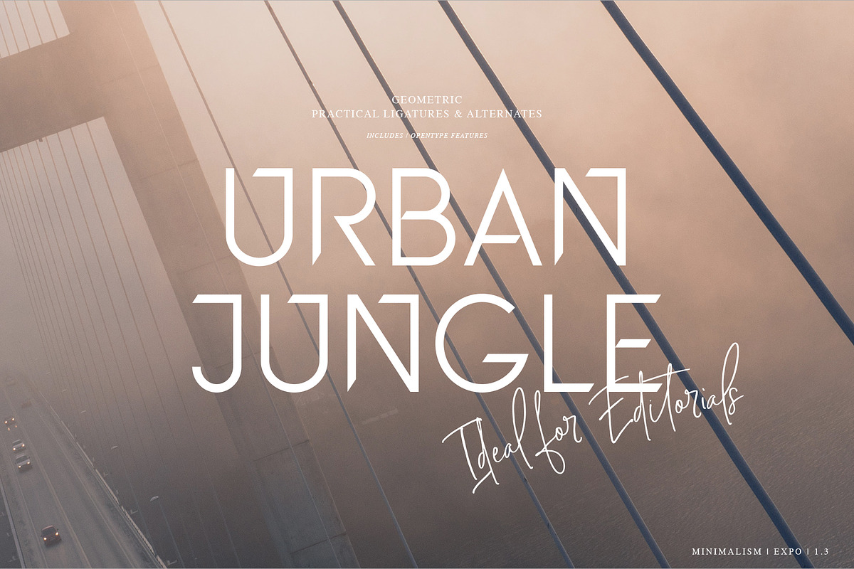 Font Bundle | Discount, a Handwritten Font by Anthony James (Photo 34 of 35)