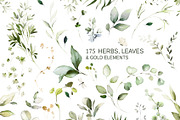Green watercolor herbs, leaves, a Decorative Illustration by Lisima (Thumbnail 6 of 19)