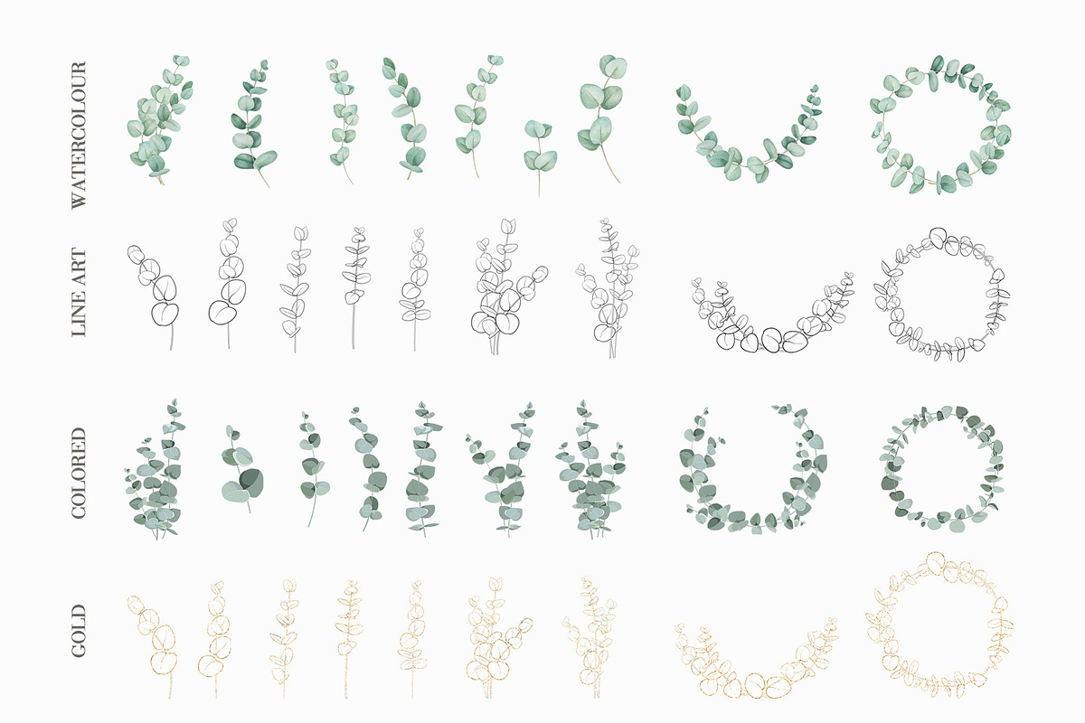 Eucalyptus branches, frames patterns, a Texture Illustration by Kotkoa (Photo 3 of 5)
