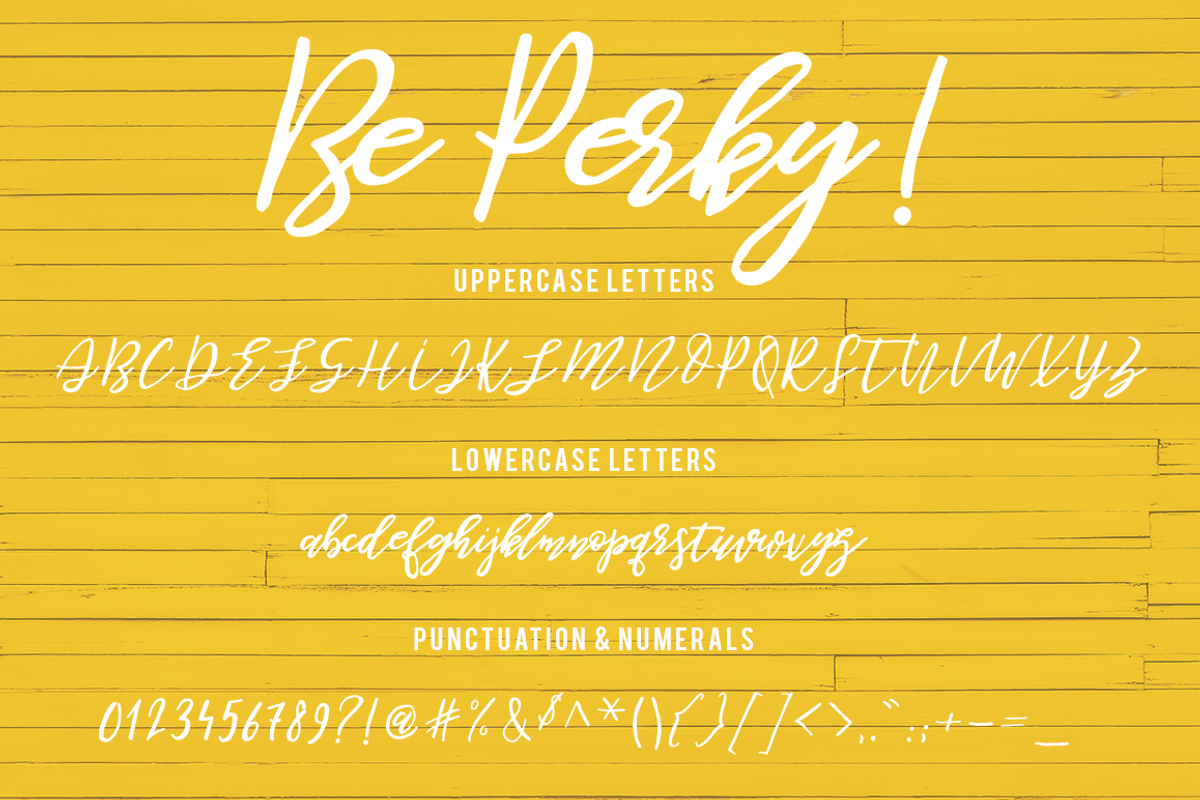 Be Perky! Handwritten Font, a Script Font by LovePowerDesigns (Photo 12 of 12)