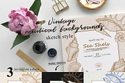 Seashells design. Natural logos, a Decorative Illustration by WalnutBird (Thumbnail 3 of 6)