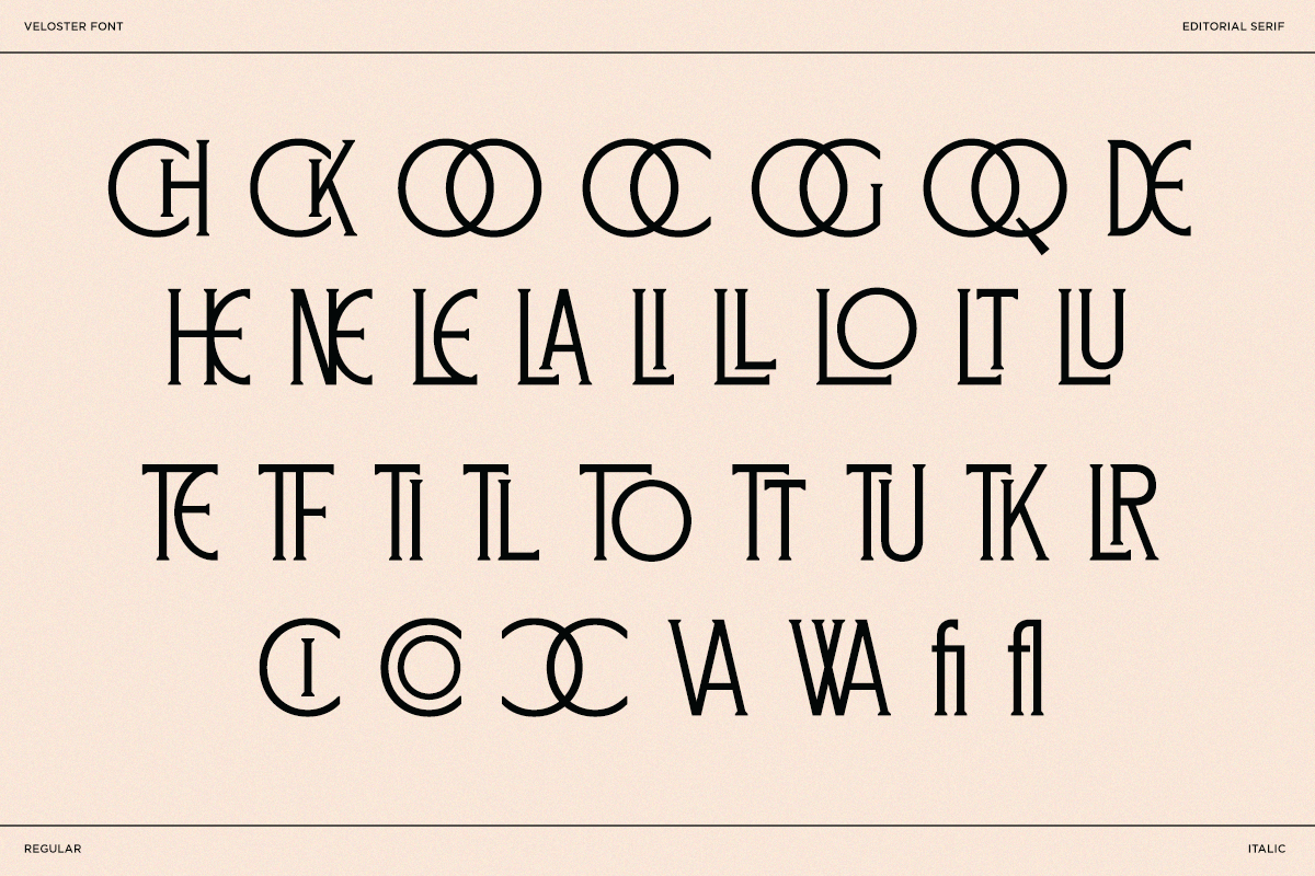 Logo Serif Branding Font - Veloster, a Serif Font by Say Studio (Photo 7 of 8)