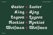 ED Begonia - Blackletter Typeface, a Blackletter Font by Emyself Design (Thumbnail 8 of 12)