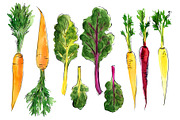 Food watercolor. Vegetables, a Food Illustration by irina.vaneeva (Thumbnail 10 of 25)