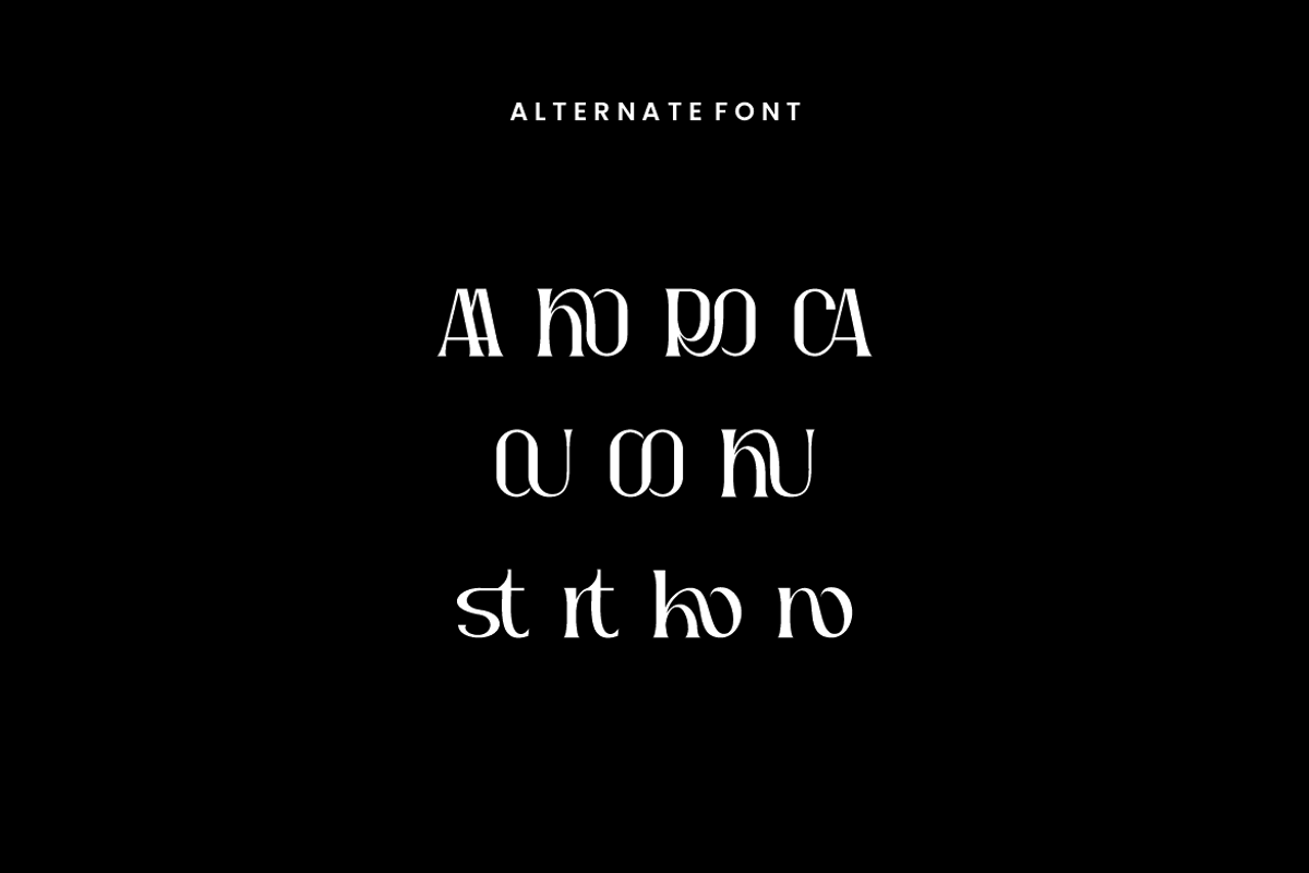 Ragkote - Modern Serif Font, a Serif Font by QR Design Studio (Photo 6 of 11)
