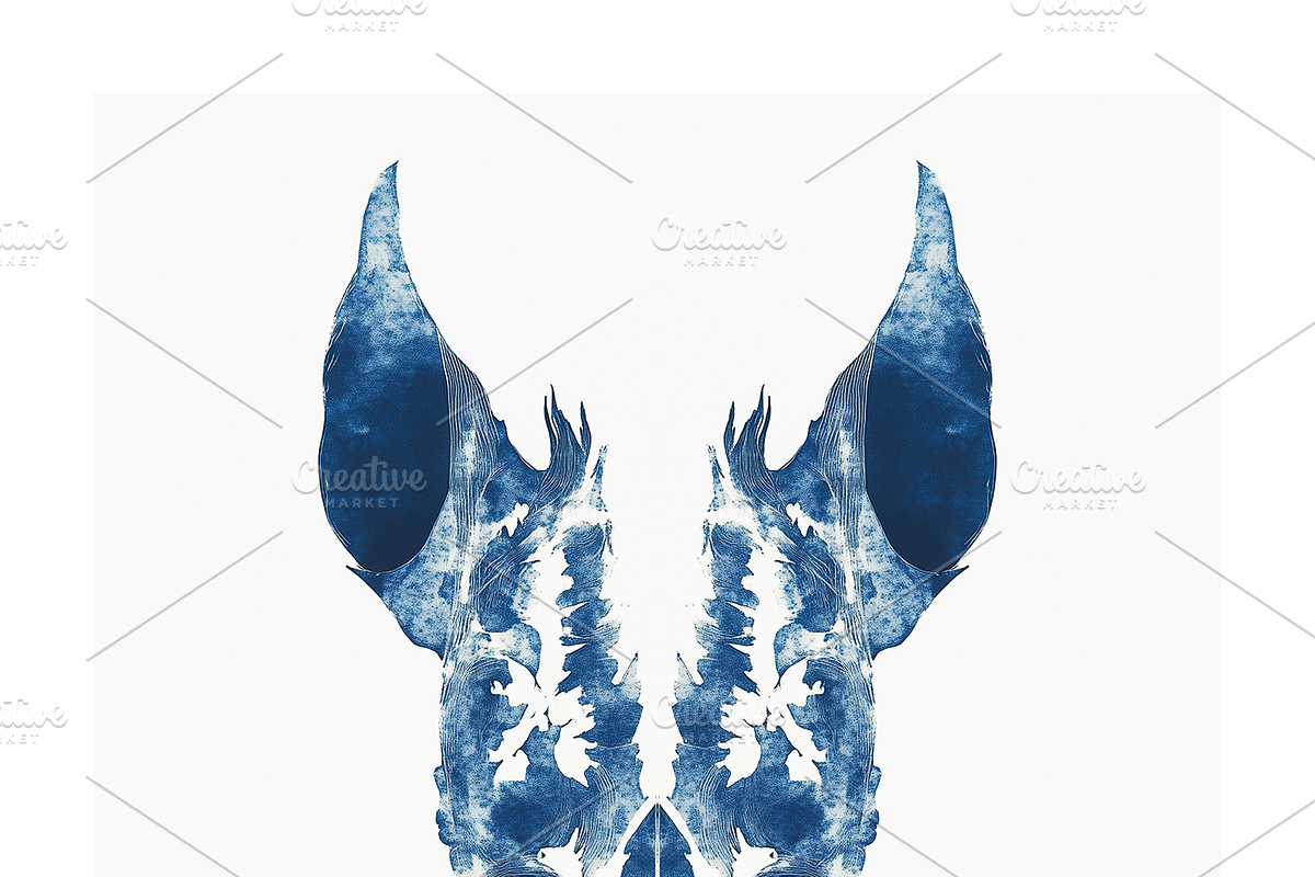 Tona Co. Totemic Cyanotype Inkblots, an Animal Illustration by milatovar (Photo 5 of 19)