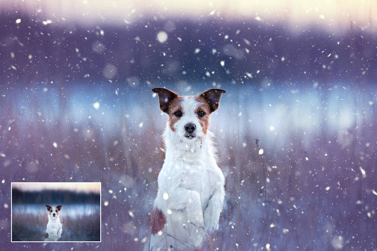 Let It Snow! Photoshop Action, an Action Add-On by Uplift Actions (Photo 12 of 14)