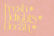 aimstesa stylish serif font, a Serif Font by Storytype Studio (Thumbnail 9 of 15)