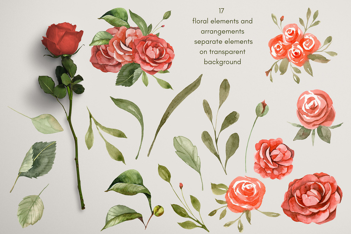 Valentines Roses Watercolor Flowers, an Illustration by Artcard Watercolor (Photo 4 of 11)