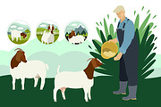 The boer goats, an Animal Illustration by Nenilkime (Thumbnail 3 of 4)