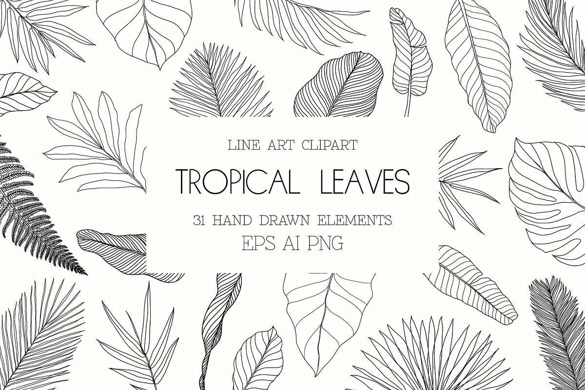 Line Art Tropical Leaves Clipart., an Illustration by ElenKoss (Photo 1 of 13)