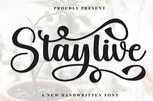 Staylive | Script Font