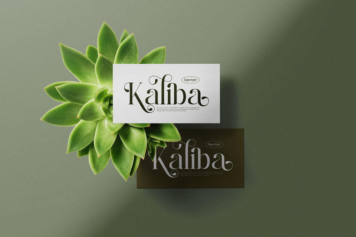 Rolena || Modern Serif Font, a Serif Font by Ermedia Studio (Photo 7 of 10)
