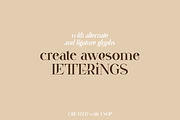 VSOP - elegant serif, 70 fonts, a Serif Font by VP Fonts (Thumbnail 5 of 21)