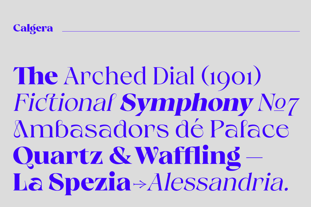 Calgera, a Serif Font by TRF Fonts (Photo 14 of 16)