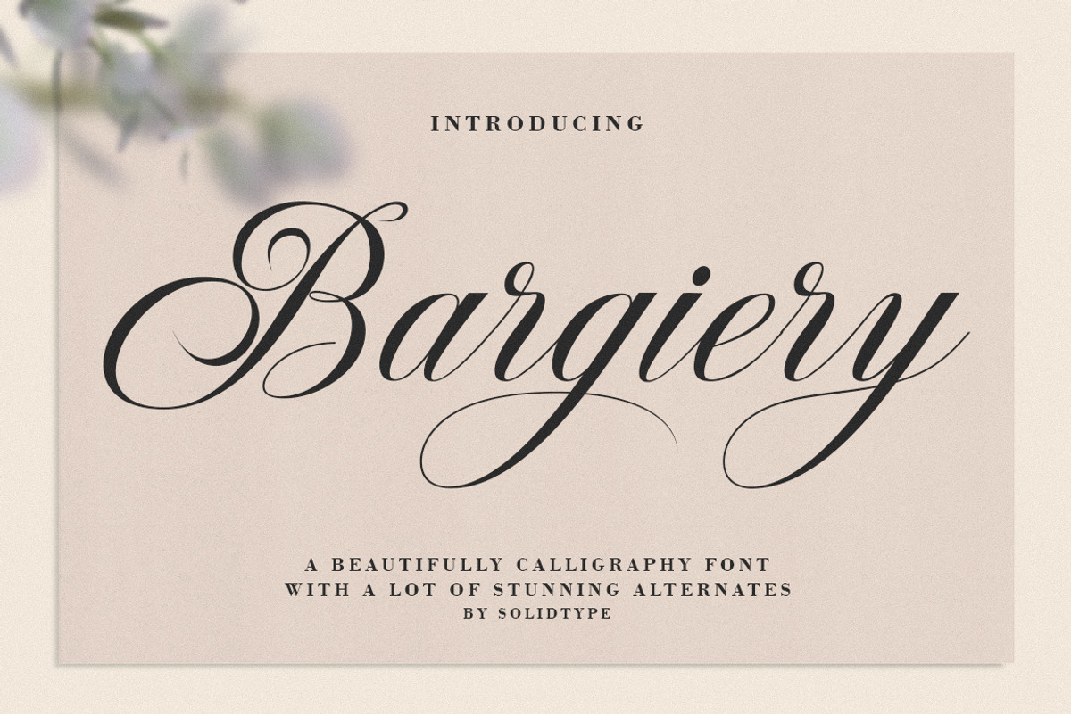 Bargiery Script, a Script Font by Solidtype (Photo 8 of 8)