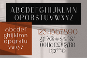 Bagina Serif, a Serif Font by 24Design Studios (Thumbnail 7 of 8)
