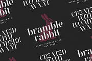 Wonderz Typeface — A Modern Serif, a Serif Font by VP Fonts (Thumbnail 3 of 16)