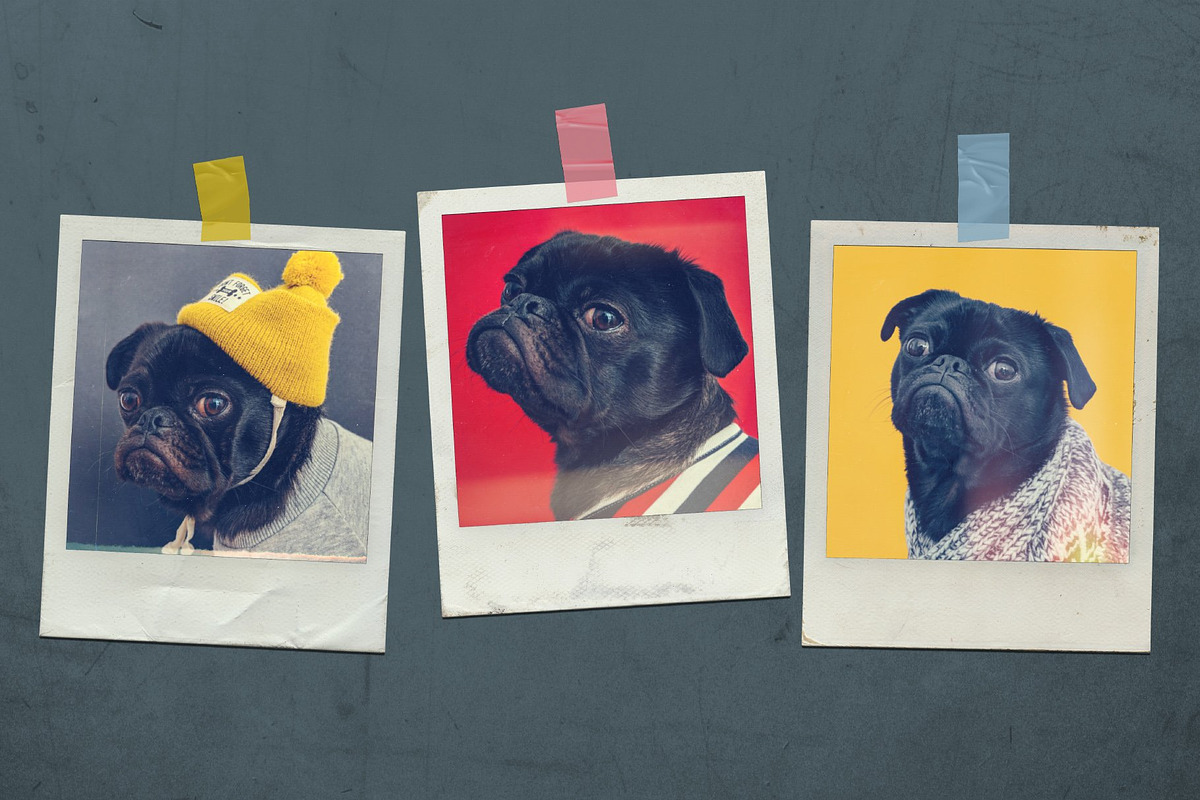 Polaroid Photo Effects & Overlays, a Preset Add-On by PhotoSpirit (Photo 8 of 9)