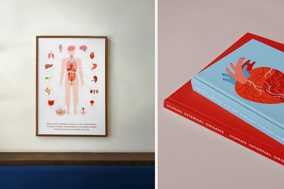 Human internal organs illustration, a Healthcare Illustration by Neliakott ♥ (Photo 2 of 7)