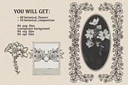 Floral Line Art Collection, a Decorative Illustration by heyXeni (Thumbnail 2 of 12)