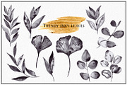Ink and Gold. Hand drawn clipart, an Illustration by ma_i_vi (Thumbnail 10 of 15)