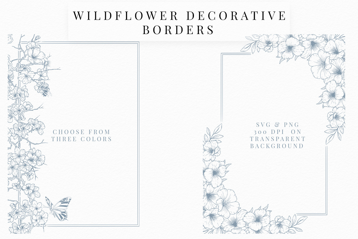 Wildflower Floral Decorative Borders, a Decorative Illustration by AW Studios (Photo 1 of 11)
